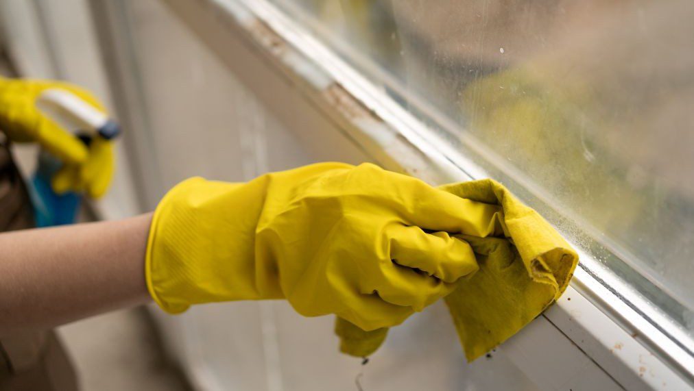 窓のカビ