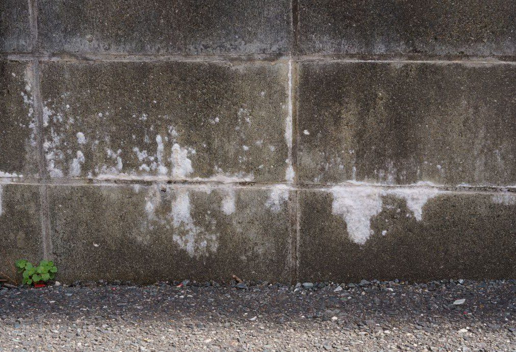 コンクリートブロック塀に染み出たエフロレッセンス