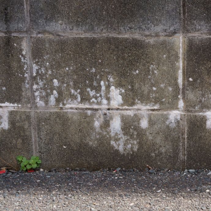 コンクリートブロック塀に染み出たエフロレッセンス